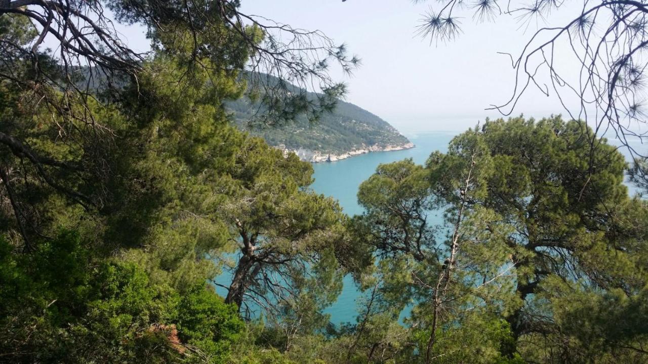 Olive&sea Villa-sea *