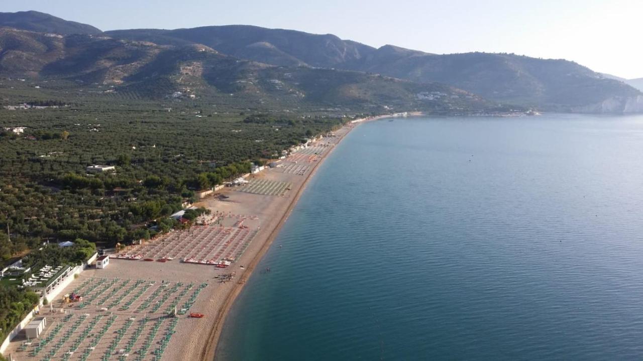 Olive&sea Villa-sea * Mattinata