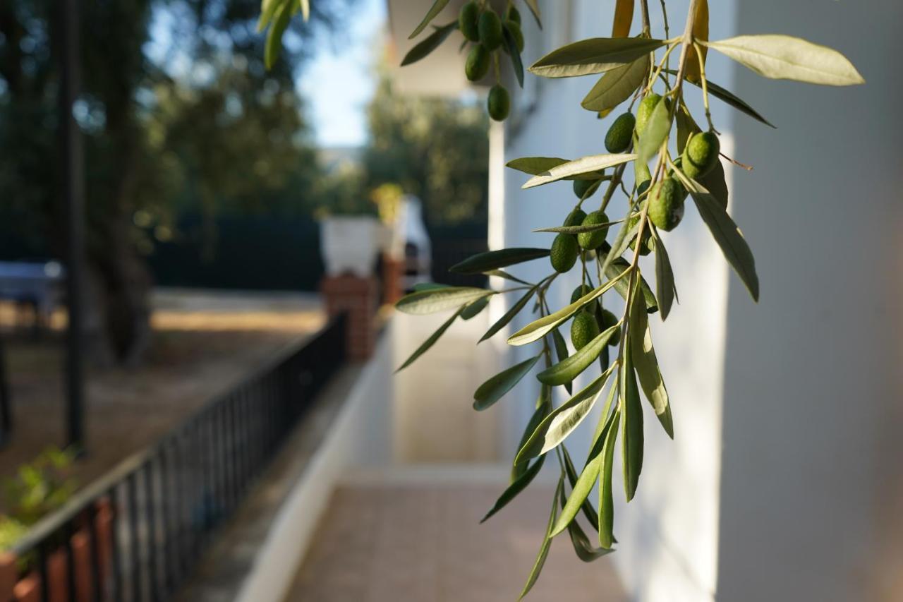 Apartment Olive&sea Villa-sea Mattinata
