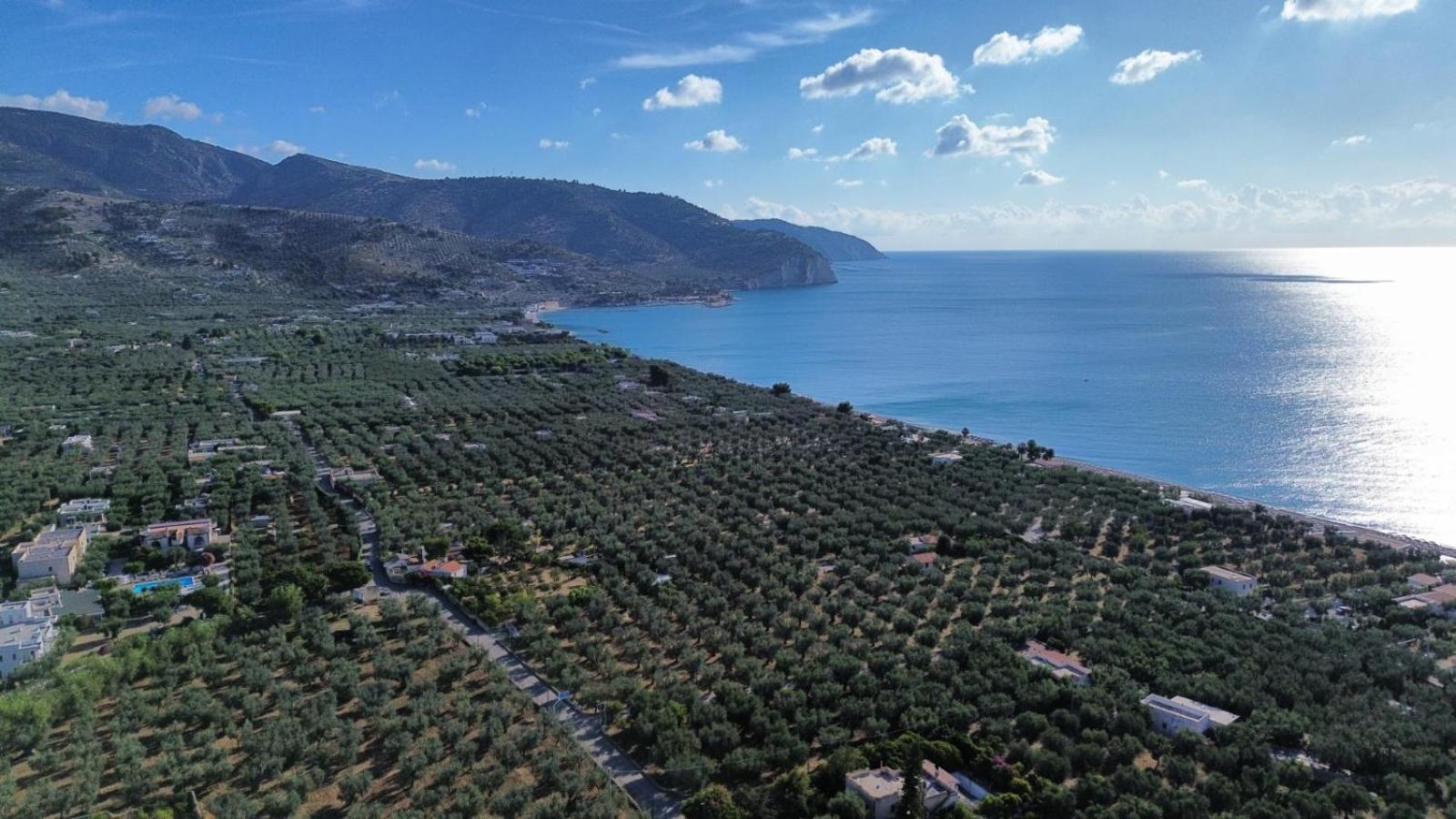 Apartment Olive&sea Villa-sea Mattinata
